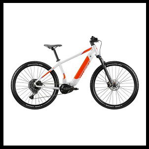 Ricambi E-Bike