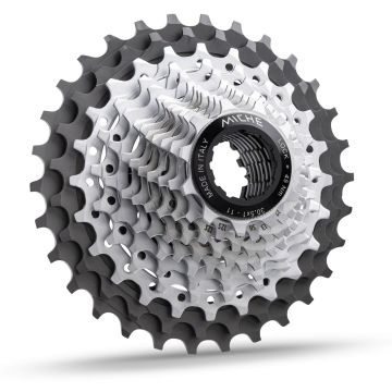 CAPK2BS163004